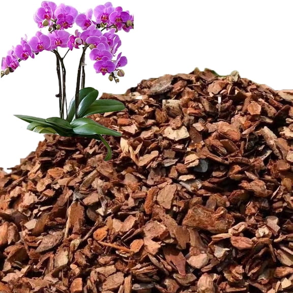 Organic Orchid Potting Bark,Bexikou Succulent & Orchid Potting Mix 10oz (300g), Blend of Orchid Bark & Pine Bark Chips (6-12mm), Well-Draining Soil for Indoor Plants, Garden Use