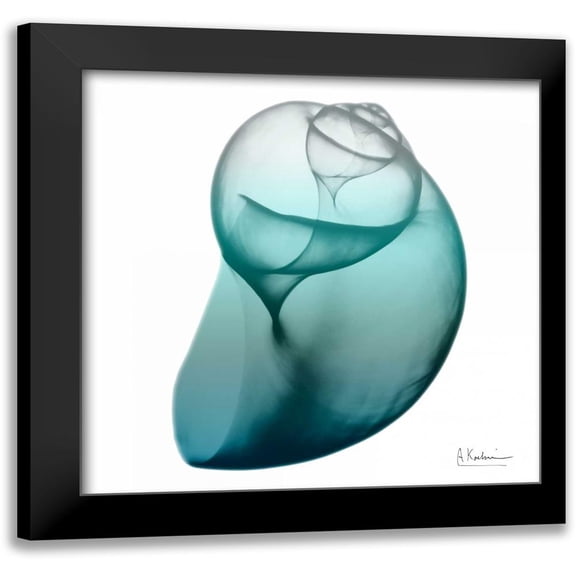 Koetsier, Albert 12x12 Black Modern Framed Museum Art Print Titled - Water Snail 3