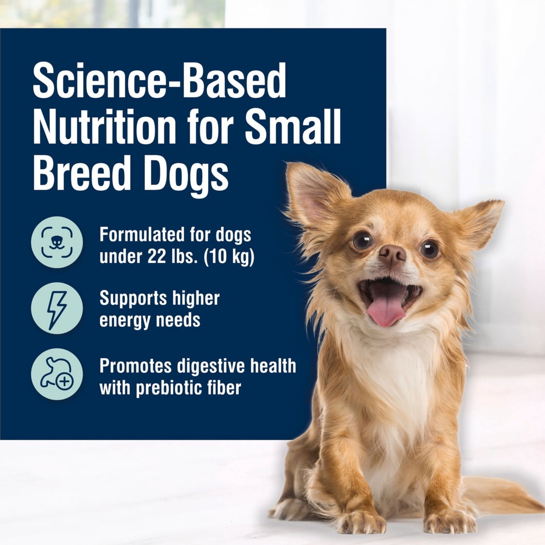 (12 pack) Blue Buffalo True Solutions Small Breed Senior Care Wet Dog Food, 5.5-oz. Can