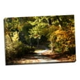 thumbnail image 2 of Gango Home Decor Autumn Pathway I by Alan Hausenflock (Ready to Hang); One 36x24in Hand-Stretched Canvas, 2 of 4