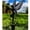 fly, variant on HELLOYOUNG Garden Fairy Alette Metal Outdoor Decor Large Yard Art Patio Lawn Decorative Stake Weatherproof Rustproof Flower Fairy Little Elf Sculpture Garden Statue