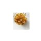 thumbnail image 3 of 30pcs Spruce pine flowers larch Christmas decoration pine cones dried flowers DIY decoration, 3 of 3