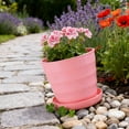 thumbnail image 4 of Succulent Modern Indoor Planter Containers For Cactus Bonsai And Home Garden For Stylish Oriental And Practical Display, 4 of 6