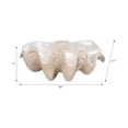 thumbnail image 4 of Decorative Clam Shell Bowl for Coffee Table Decor - Coastal Inspired Bowl for Centerpiece Table Decorations or Home Accents - Elegant Key Holder, Candy and Kitchen Counter Decor - 8", Ivory & Tan, 4 of 12