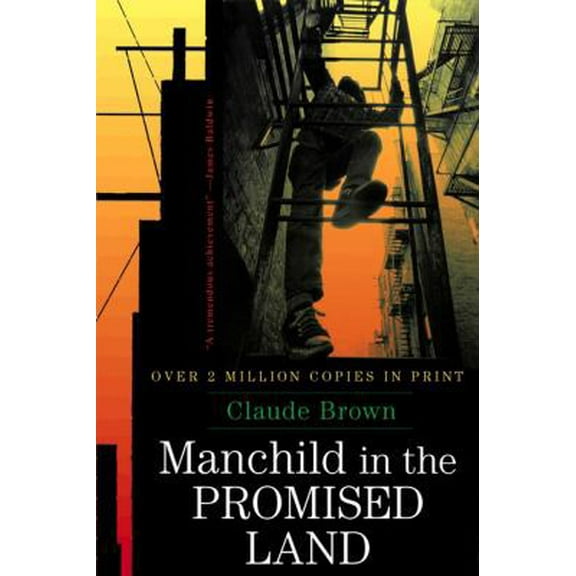 Pre-Owned Manchild in the Promised Land (Paperback) 0684864185 9780684864181