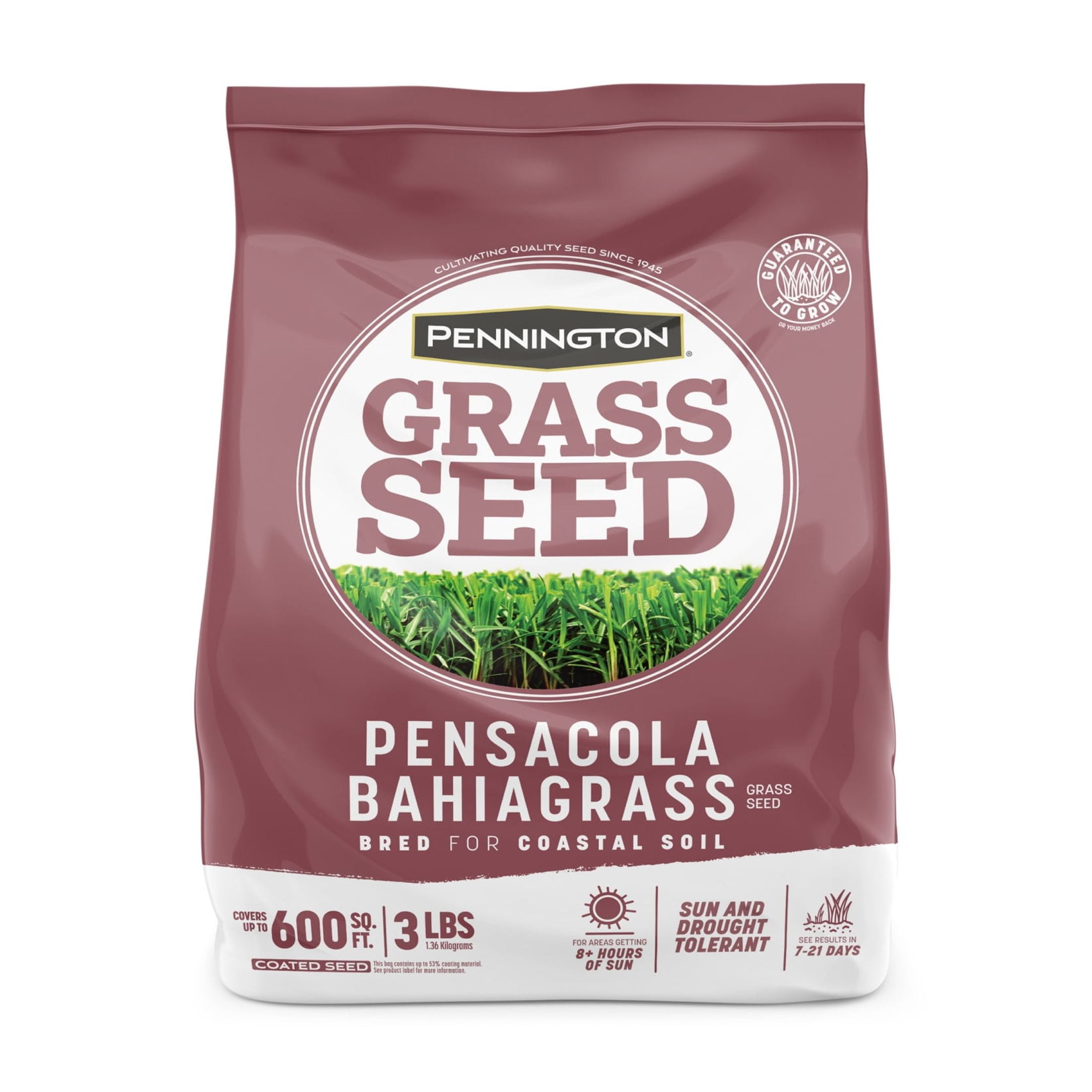 Pennington Pensacola Bahiagrass Grass Seed for Full Sun, Grass Seeds for Lawn, 3 lb