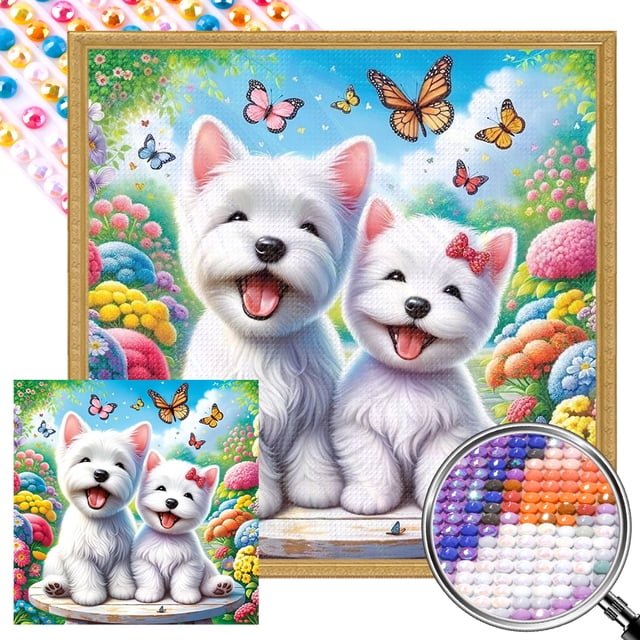 AB Parcial 5D DIY Del Felices 35x35cm