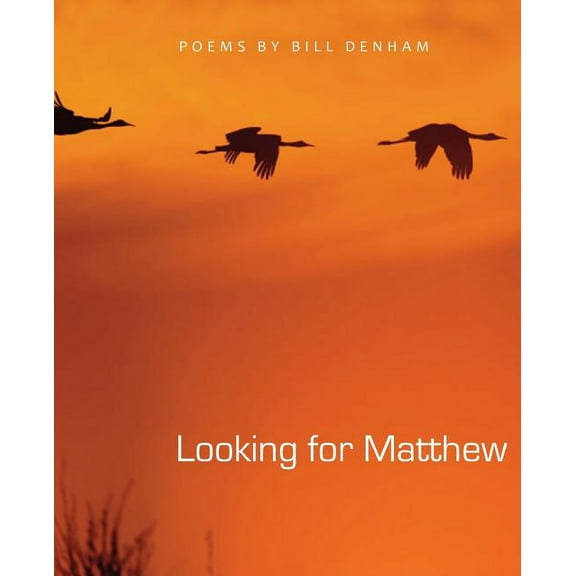 Looking for Matthew (Paperback) by Bill Denham