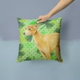 thumbnail image 2 of Carolines Treasures BB9872PW1414 Italian Greyhound St Patricks Fabric Decorative Pillow  14Hx14W multicolor, 2 of 4