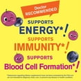 WellYeah Iron Gummies for Kids with Vitamin C Anemia Support, Red