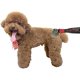 thumbnail image 4 of Peine de Aseo CHAO para Perros y Gatos Accesorios de Cuidado de Mascotas, 4 of 5