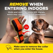 Dogtra Pathfinder 2 GPS Dog Tracker E Collar - 9 Mile Range, Waterproof, Free App, No Monthly Fees