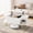 White & Golden, variant on Costway Faux Marble Lift Top Coffee Table with Hidden Compartment, Shelves for Living Room White & Golden