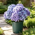 thumbnail image 7 of Artificial Hydrangea Bush 18.5 Inch, Faux Silk Outdoor Flowers for Porch Patio, UV Resistant Artificial Plants for Wedding Centerpiece, Purple, 7 of 7