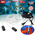 thumbnail image 5 of QTENQ  Aquarium Air Oxygen Pump 2 Outlets Bubble Tube for Fish Tank Hydroponic Pond USA, 5 of 8