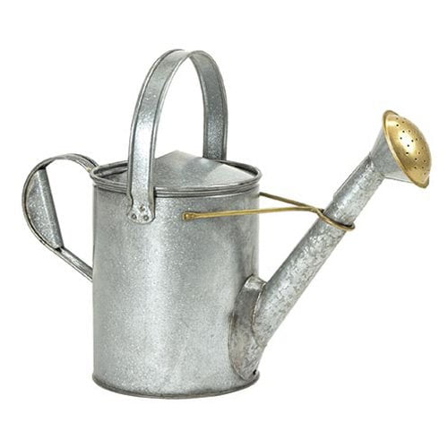 Achla Designs Galvanized Short Necked Watering Can by Minuteman/Achla Designs