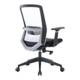 thumbnail image 3 of Modern Office Task Chair - Adjustable Armrests, Lumbar Support, Swivel Design, 3 of 5