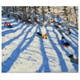 thumbnail image 1 of Great BIG Canvas | Rolled Andrew Macara Poster Print entitled Tree shadows, Morzine, 1 of 4
