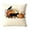 C, variant on THOPBPRK Vintage Halloween CAT and Crow Linen Throw Pillow Cover 18x18 Inch, Decorative Square Cushion Case for Sofa Bed, Spooky Fall Home Decor Accessories, 1Pack E