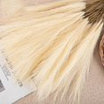 thumbnail image 1 of 5 Sticks Dried Pampas Grass Artificial Pompous Grass Branches Vase Filler For Home Living Room Kitchen Wedding Bohemian Dcor, 1 of 5