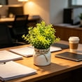 thumbnail image 4 of Virelaxpo Artificial Bonsai Tree in Pot Faux Plant for Home Decor Table Centerpiece No Maintenance Indoor Decoration, 4 of 6