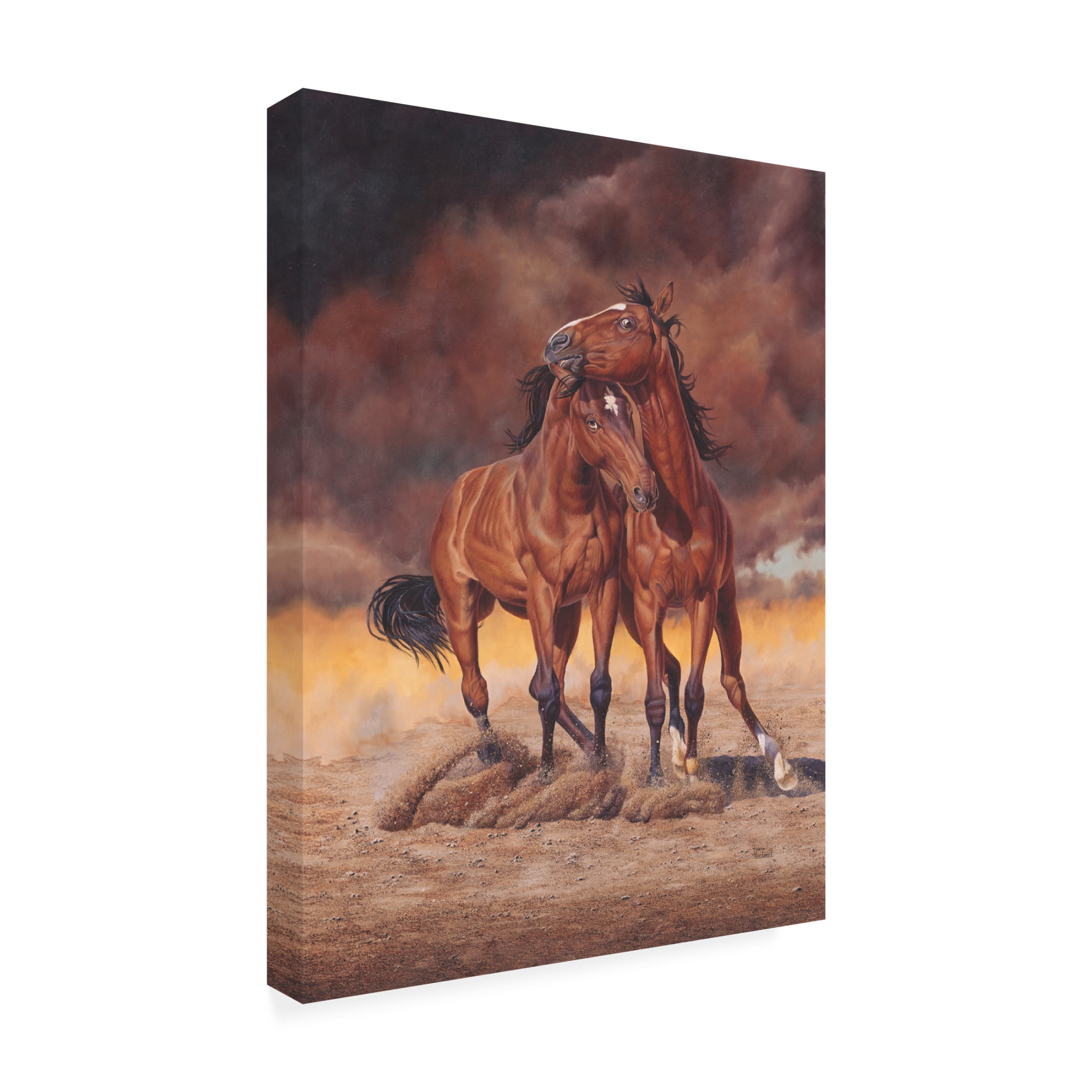Canvas Wall Art - Delene Lambert 'Dustangs' Wall Art for Living Room, Bedroom, or Office Décor by Trademark Fine Art - 18 x 24 Inches
