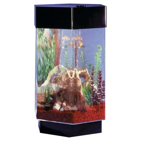 Midwest Tropical Hexagon Aqua Scape Aquarium (Best Starter Fish For Tropical Tank)