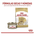 thumbnail image 3 of Alimento Croqueta Pomeranian Adulto 4.5Kg Royal Canin, 3 of 4