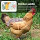 thumbnail image 3 of Delantal de silla de montar para gallinas de corral, chaleco de seguridad para gallinas, delantal de silla de montar para gallinas de corral de doble espesor con protectores de espalda y alas (juego d, 3 of 5