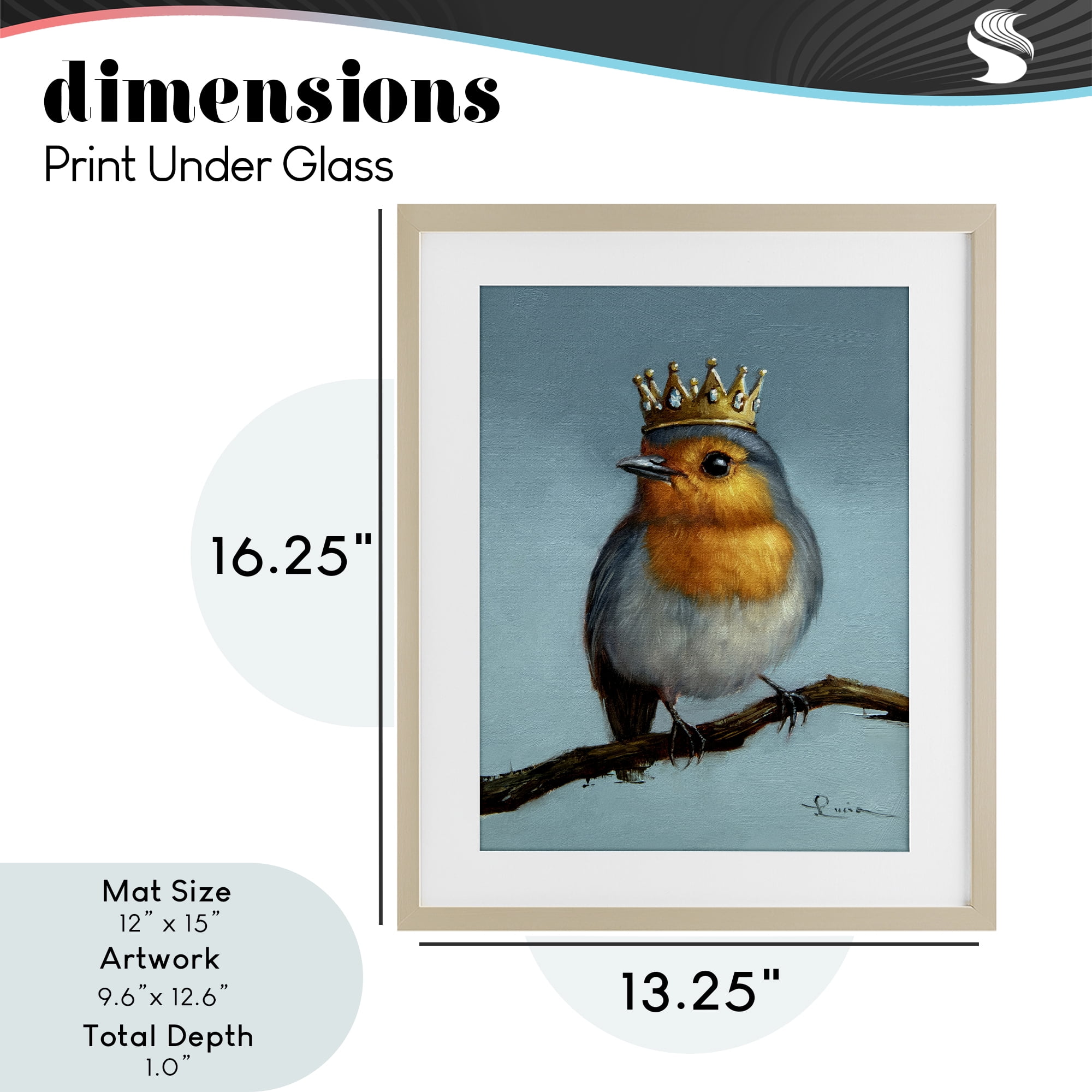 Royal Robin Perched Birch Framed Print Under Glass, design by Lucia Heffernan