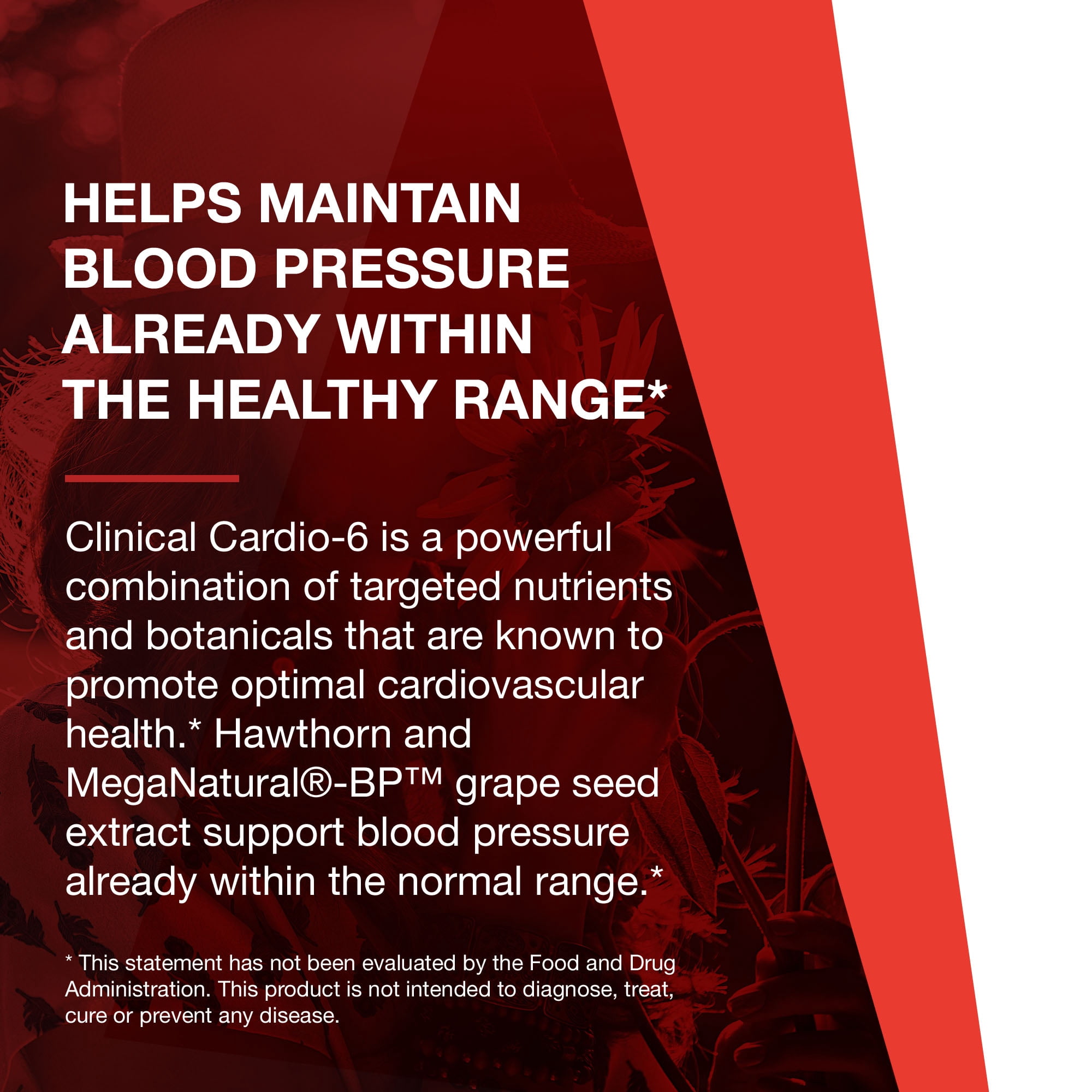 Protocol Clinical Cardio-6 - Blood Pressure Support with CoQ10, Vitamin K2, Grape Seed - 90 Veg Caps