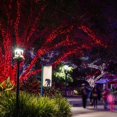 thumbnail image 4 of Luces navideñas TW SHINE 200 LED, 20 m, resistentes al agua, color rojo, 4 of 7