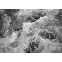 Wildest Water Wall Mural