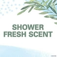 thumbnail image 5 of Secret Antiperspirant Deodorant for Women, Shower Fresh Scent, Invisible Solid, 2.6 Oz, Pack of 6, 5 of 11