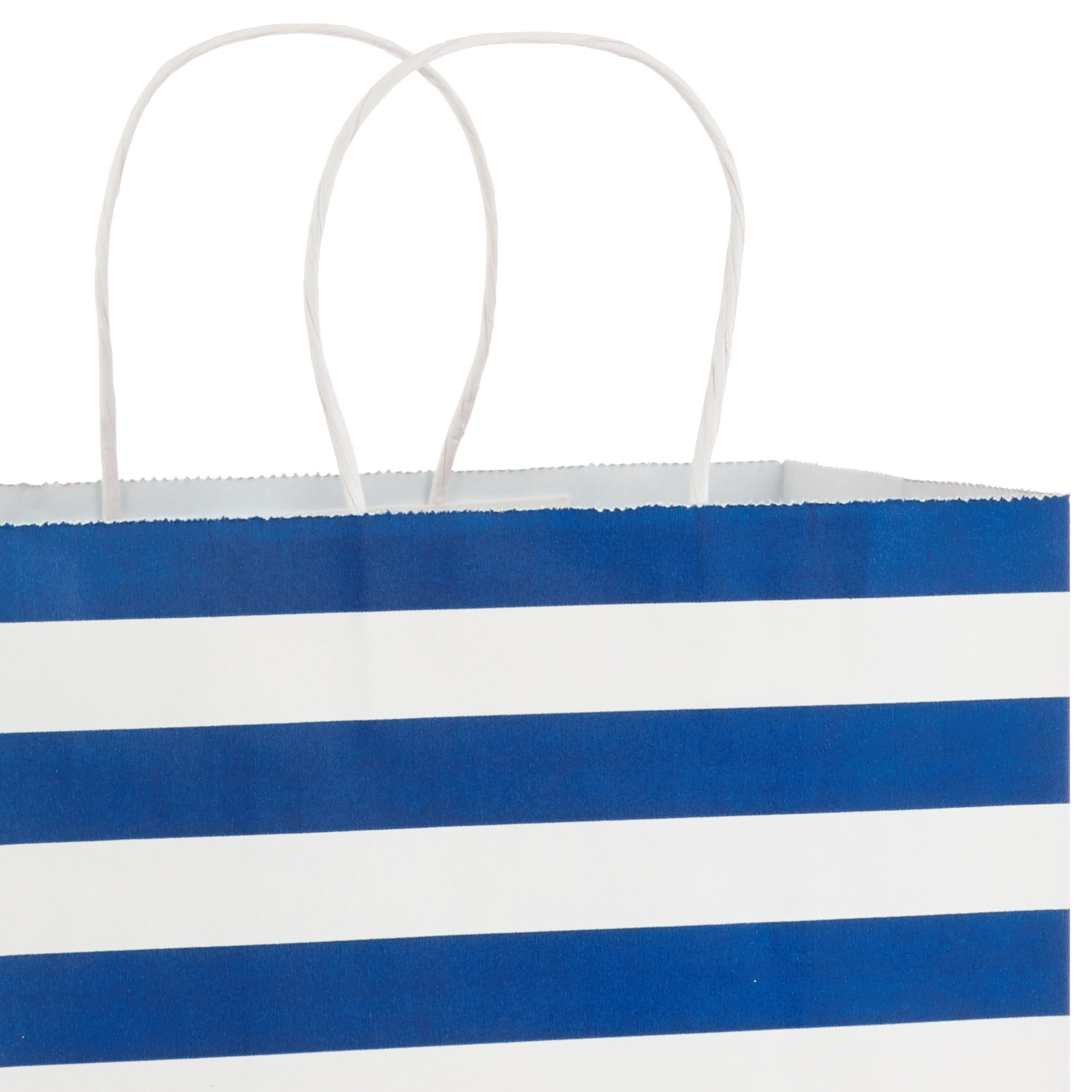 Hallmark Large Gift Bag (Blue and White Stripes)