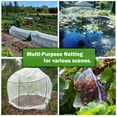 thumbnail image 4 of Moustiquaire pour Légumes Anti-Insectes en Nylon, Moustiquaire de Jardin, Couverture de Jardin en Maille, Moustiquaire Réutilisable pour Serre, Moustiquaire pour Plantes, 4 of 9