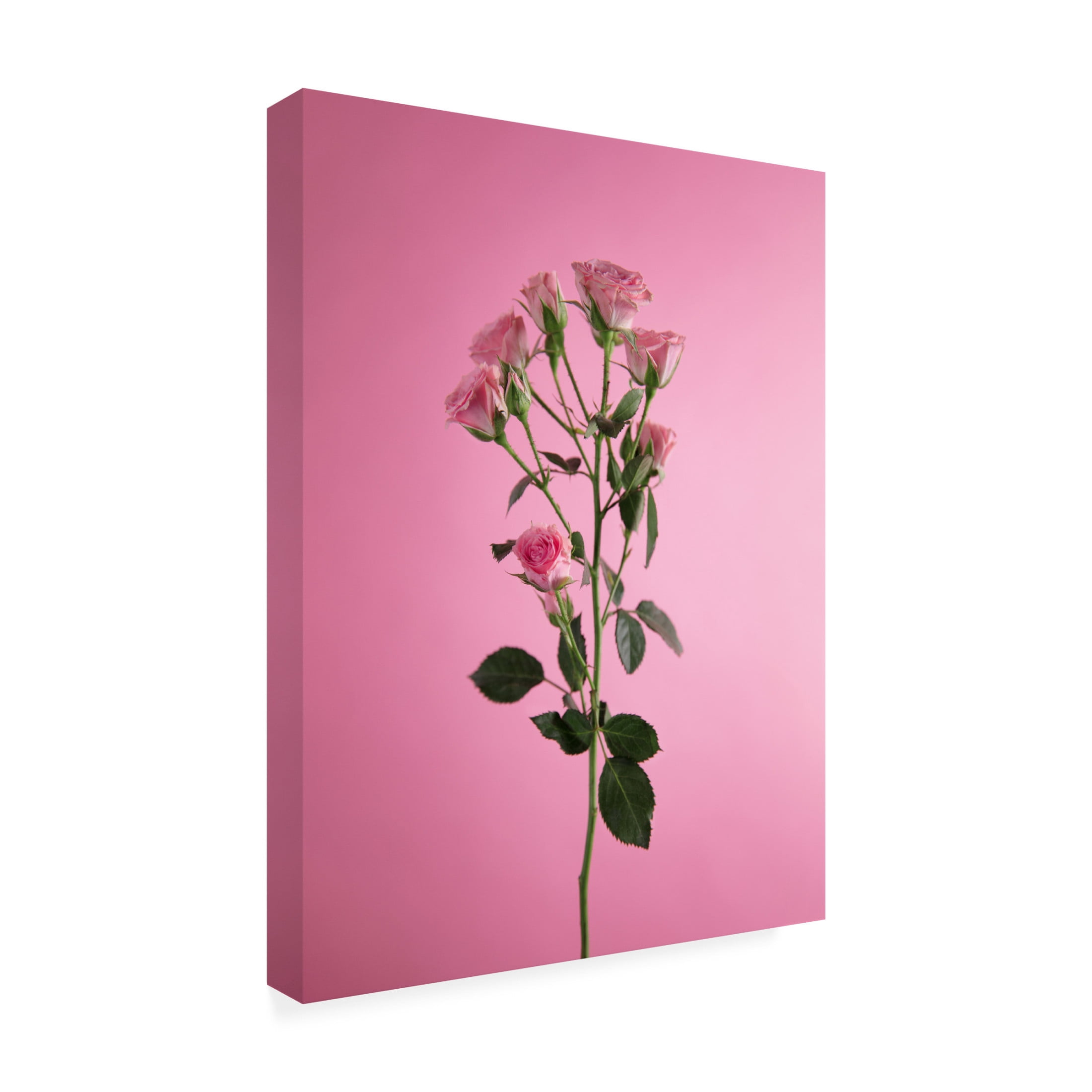 Canvas Wall Art - Julia Ramiro 'Pitiminii' Wall Art for Living Room, Bedroom, or Office D?cor by Trademark Fine Art - 14 x 19 Inches
