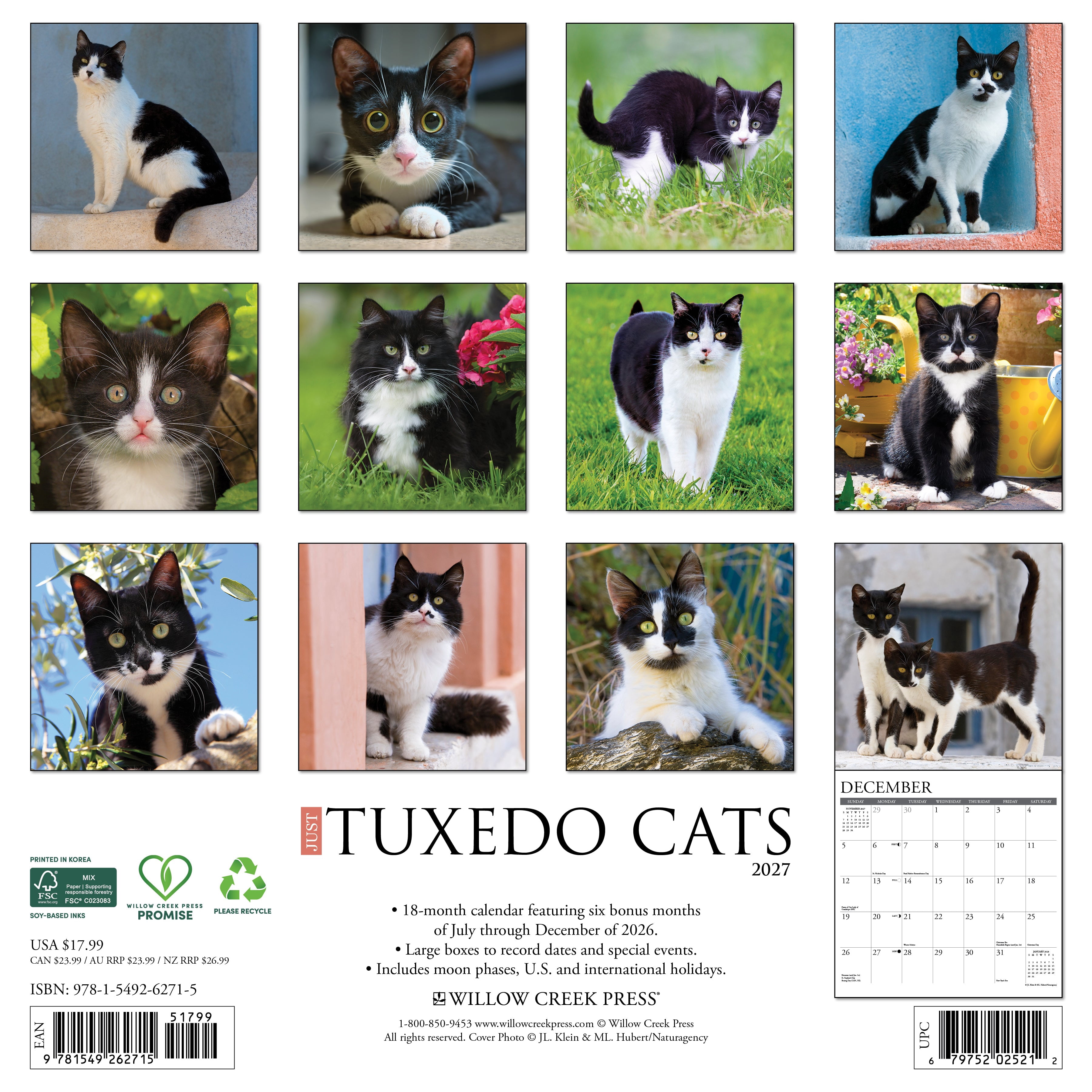 Willow Creek Press, Tuxedo Cats 2027 Wall Calendar