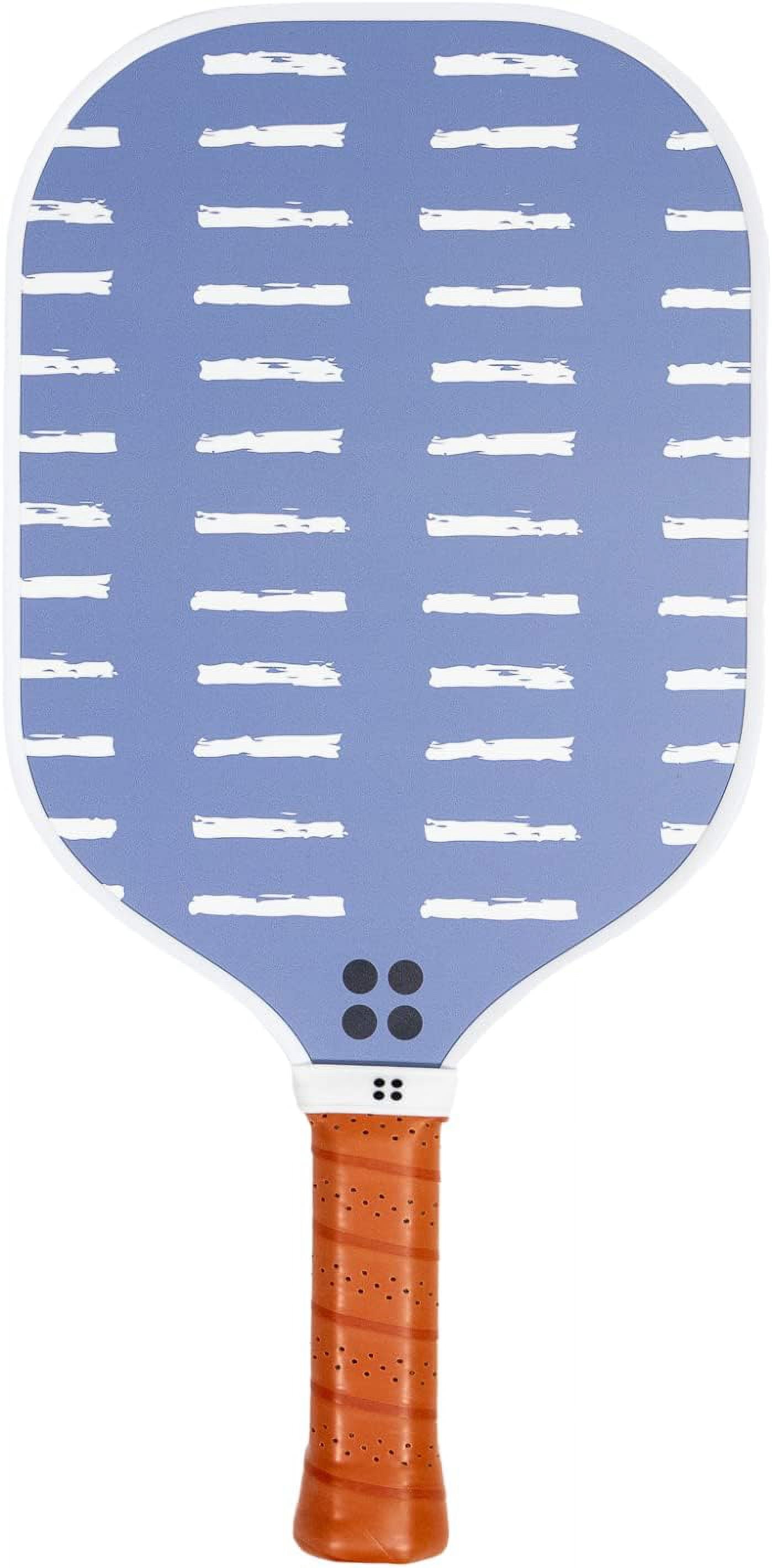 Holbrook Sport Series USA Pickleball Series Approved Paddle