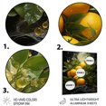 thumbnail image 3 of Designart "Yellow Zesty lemon Burst In Yellow and Green"Fruits Metal Wall Art Yellow Traditional Living Room Wall Art, 3 of 6