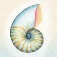 thumbnail image 2 of Gango Home Decor Coastal Boardwalk Nautilus & Sand Dollar by Elyse DeNeige (Ready to Hang); Two 16x16in Hand-Stretched Canvases, 2 of 5