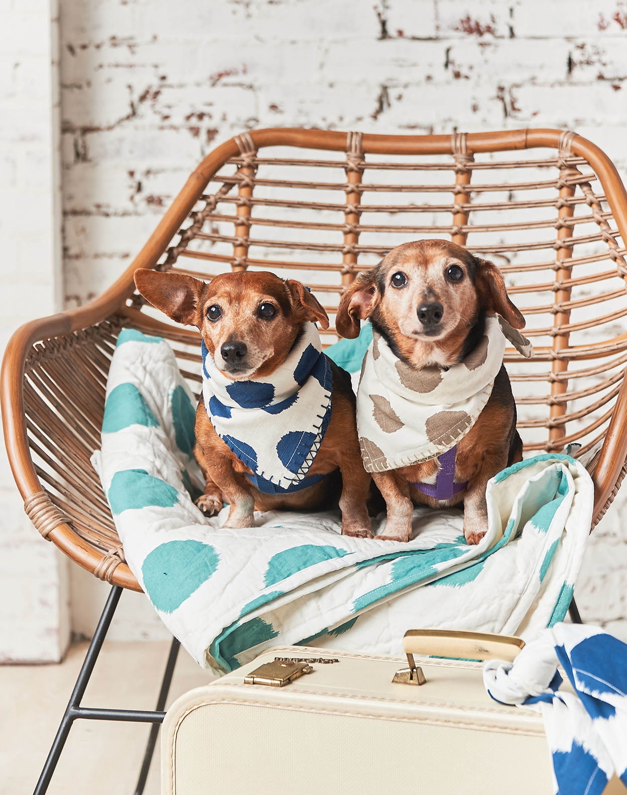 Pet Dog Or Cat Quilt Blanket Bed Dot Pattern Lagoon