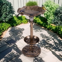 Demi Bonn 30" Outdoor Garden Bird Bath with Solar Light, Weather Resistant Pedestal, Backyard Bird Feeder and Flower Planter, Brown