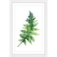 thumbnail image 3 of Marmont Hill "Fern 1" by Rachel Byler Framed Painting Print, 3 of 5