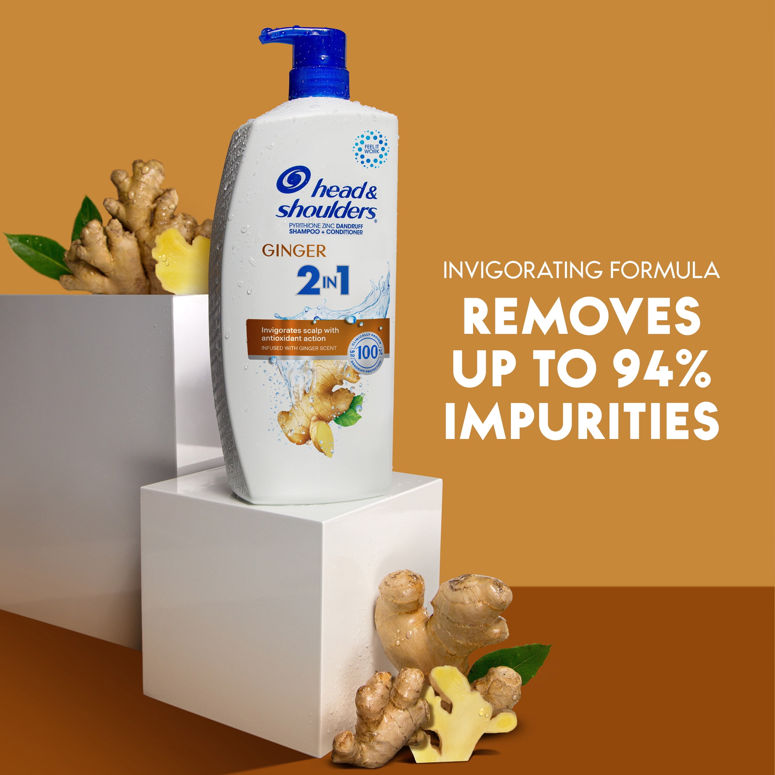 (2 pack) Head & Shoulders 2 in 1 Dandruff Shampoo and Conditioner, Ginger, 28.2 fl oz