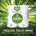 thumbnail image 2 of Bamboo Toilet Paper - 4-Rolls - 2-Ply Made From Tree-Free, 100% Bamboo Fibers, Septic Safe, RV Safe - Eco-Friendly, Soft and Sustainable Packaging May Vary, 2 of 5