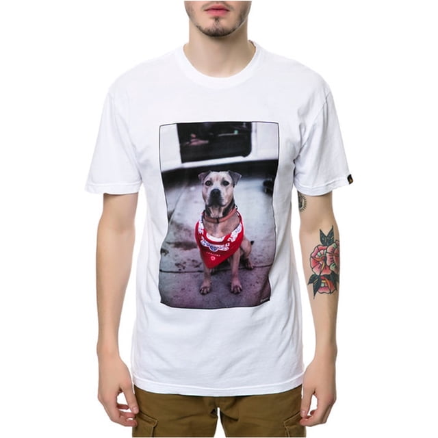 Camiseta gráfica The Chief Dog Emerica para hombre blanca extragrande