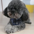 thumbnail image 3 of LiMimmuu Pet Vest Harness Pet Leash Plaid Pattern Adjustable Pet Vest Harness Pet Vest Harness Design Adjustable Plaid Pattern Lost Towing Comfortable Fit Outdoor Walking Dog Chest Strap with Bell, 3 of 6