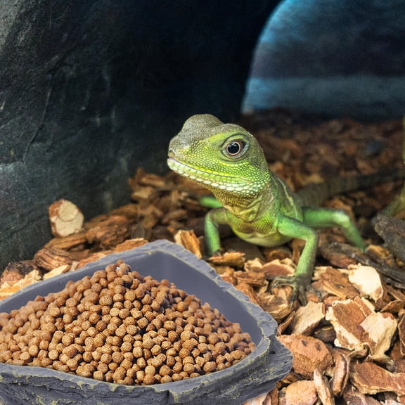HEANUJJ 1Ud De Y Comida Para Reptiles De Material Premium En Color