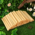 thumbnail image 4 of BESTYASH Apiculture Lot de 100 Tubes à Abeilles Roseau Cylindrique pour Accouplement et Élevage 3.9 Pouces, 4 of 7